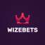 Wizebets Apps Review