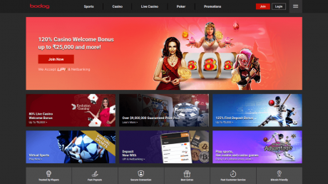 bodogs Homepage