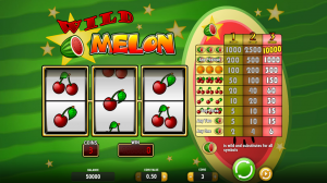 Wild Melon Slot Review